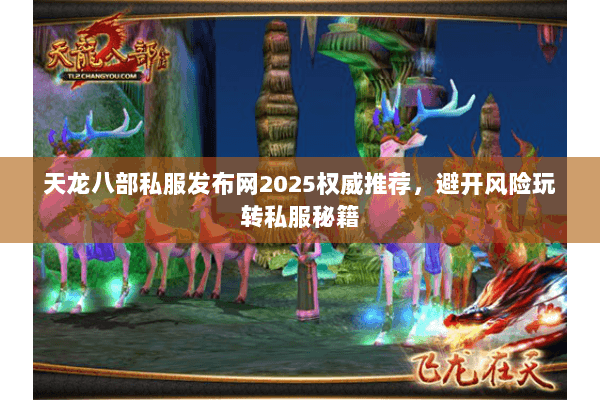 天龙八部私服发布网2025权威推荐,避开风险玩转私服秘籍 天龙八部私服发布网2025权威推荐,避开风险玩转私服秘籍