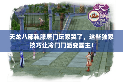 天龙八部私服唐门玩家哭了,这些独家技巧让冷门门派变霸主! 天龙八部私服唐门玩家哭了,这些独家技巧让冷门门派变霸主!