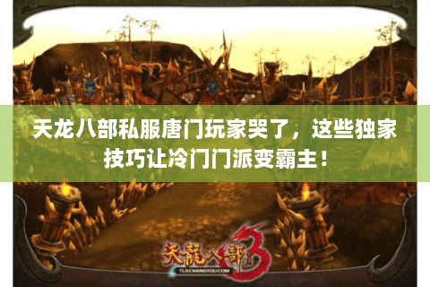 天龙八部私服唐门玩家哭了,这些独家技巧让冷门门派变霸主! 天龙八部私服唐门玩家哭了,这些独家技巧让冷门门派变霸主!